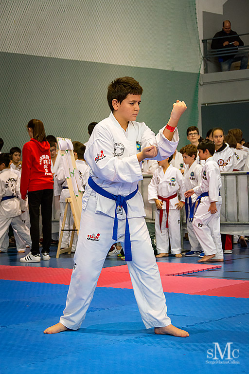 COPA SEUL, 2017  (76).JPG